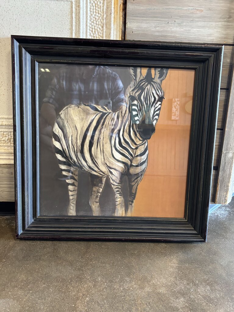 Zebra 23 X 23