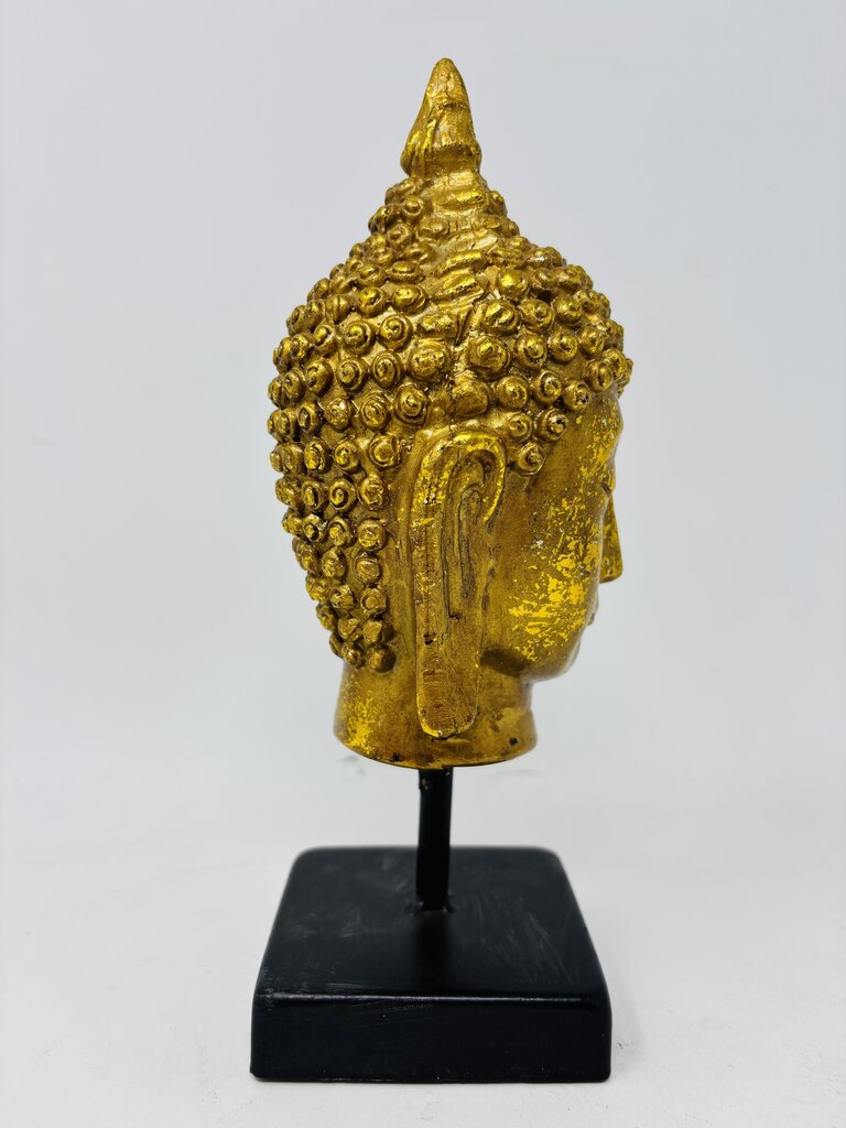 Buddha Head On Stand