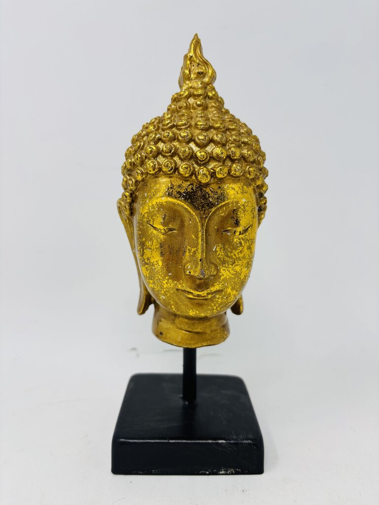 Buddha Head On Stand