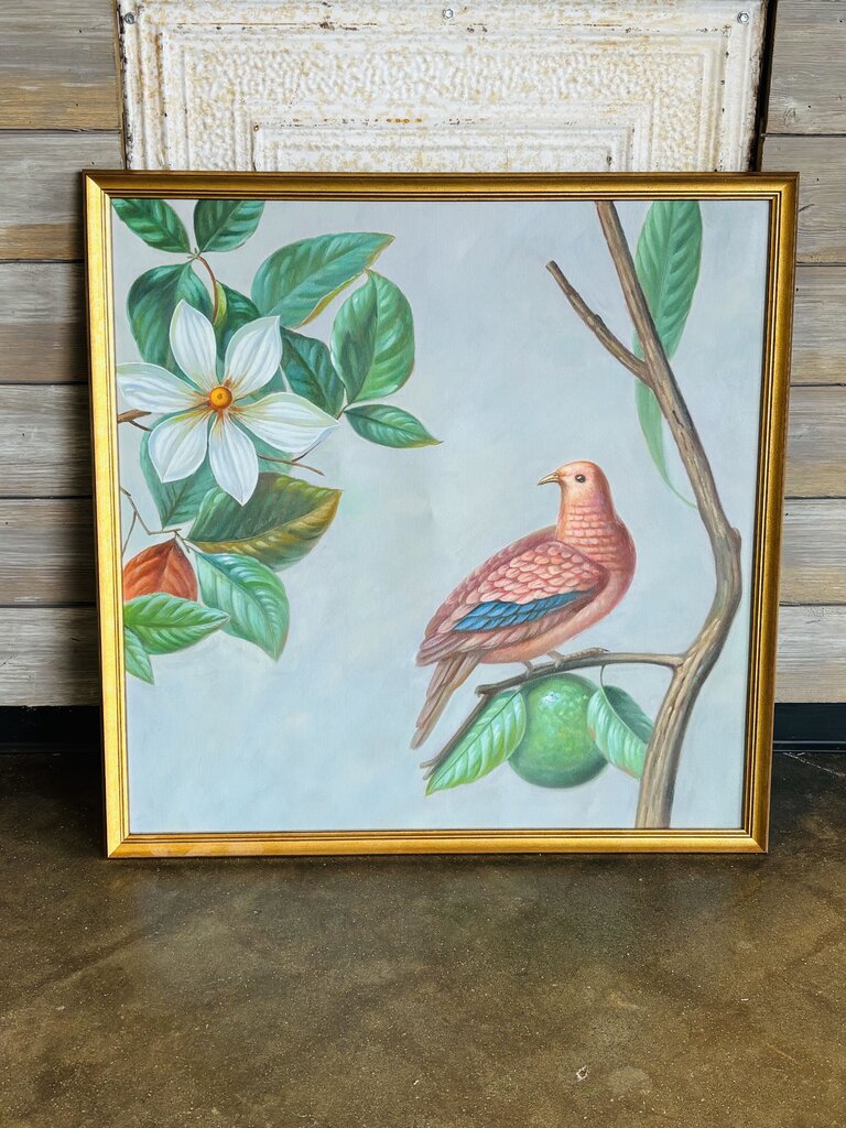 Take Flight Morning Dove
