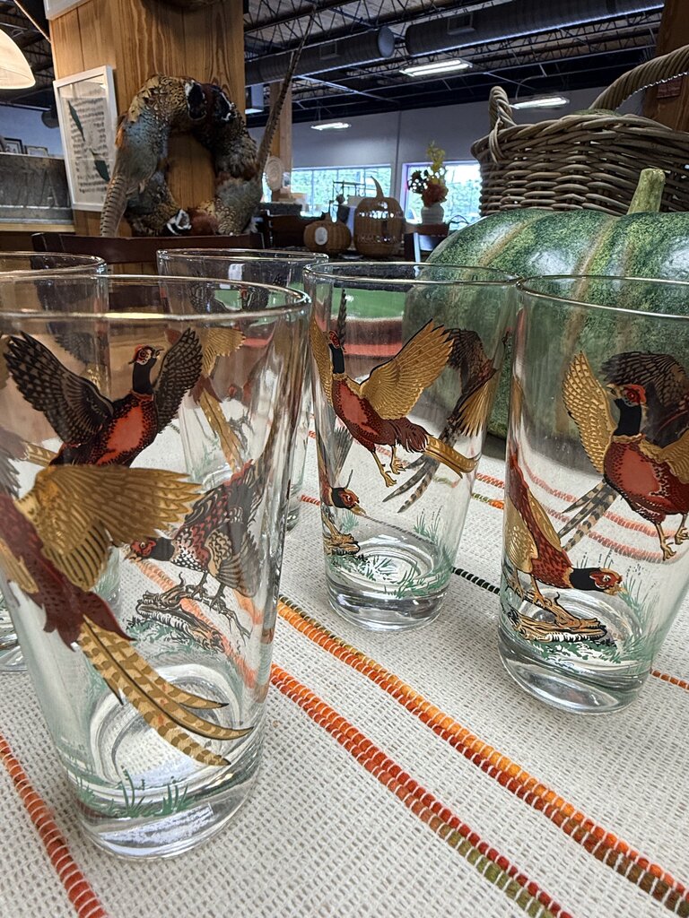 Pheasant Hunting Old Fashion Glasses 6 PC