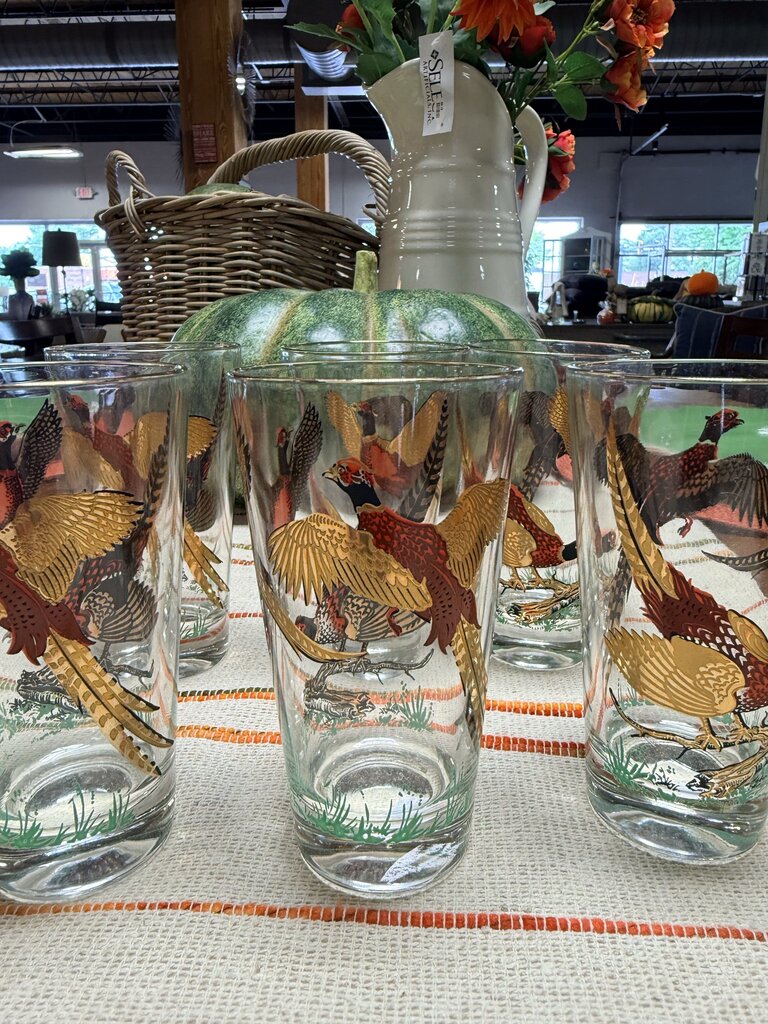 Pheasant Hunting Old Fashion Glasses 6 PC