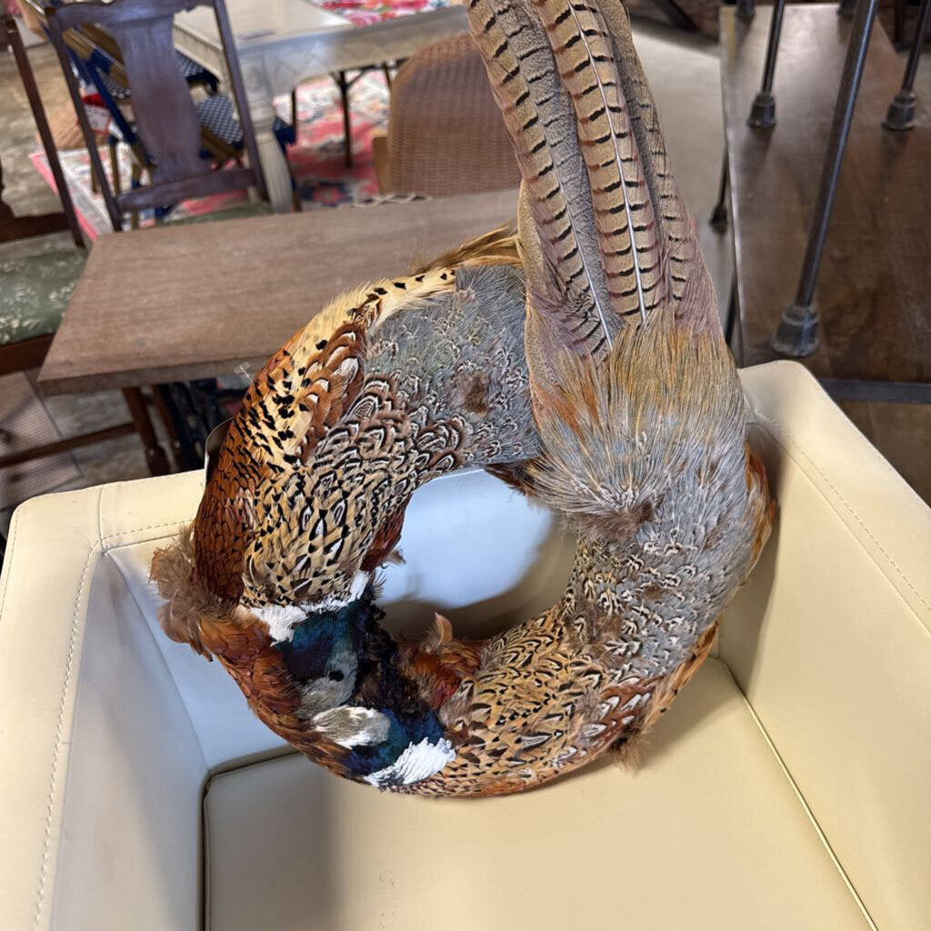 Pheasant Feathers Wreath