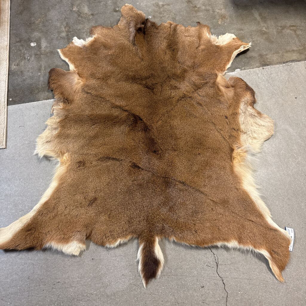 Animal Hide with Drawing on Back Kelsey Hertig 50 X 42