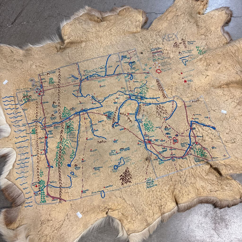 Animal Hide with Drawing on Back Kelsey Hertig 50 X 42