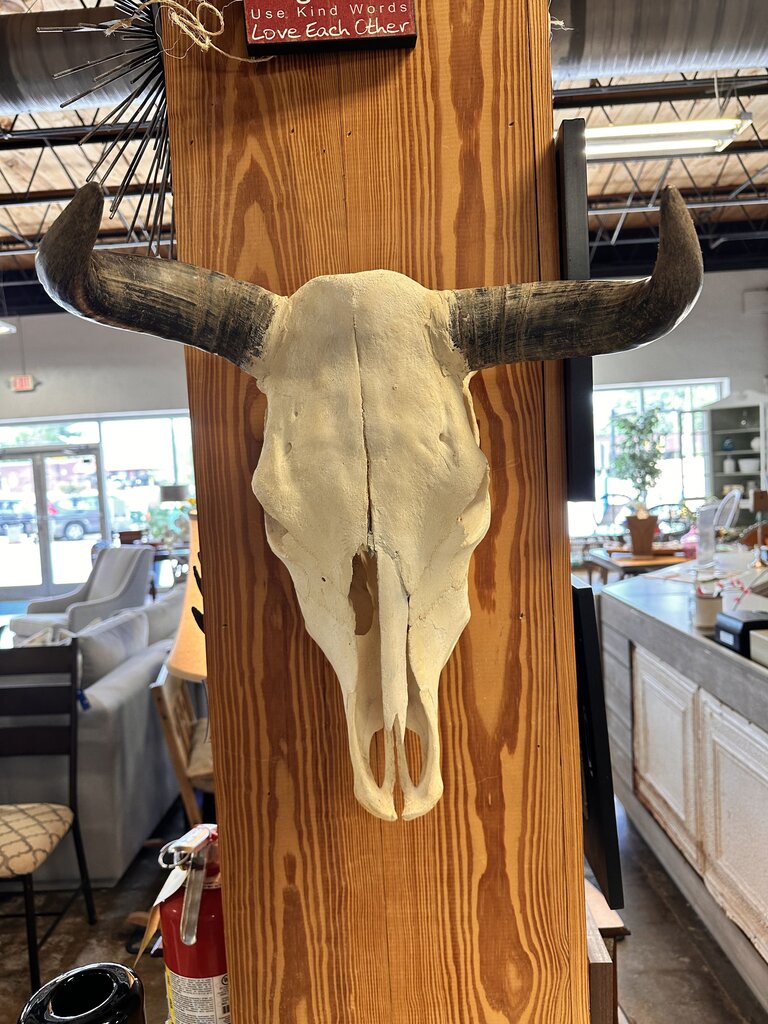 Hanging Cow Skull
