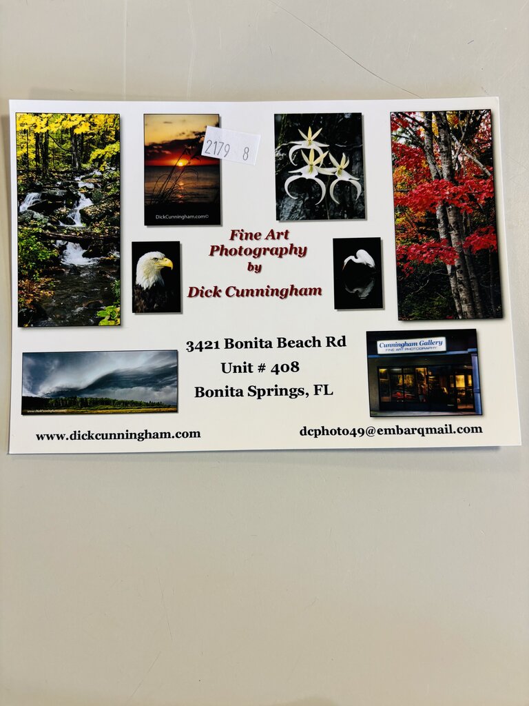 Fall Trees In The Smokies 12 X 18