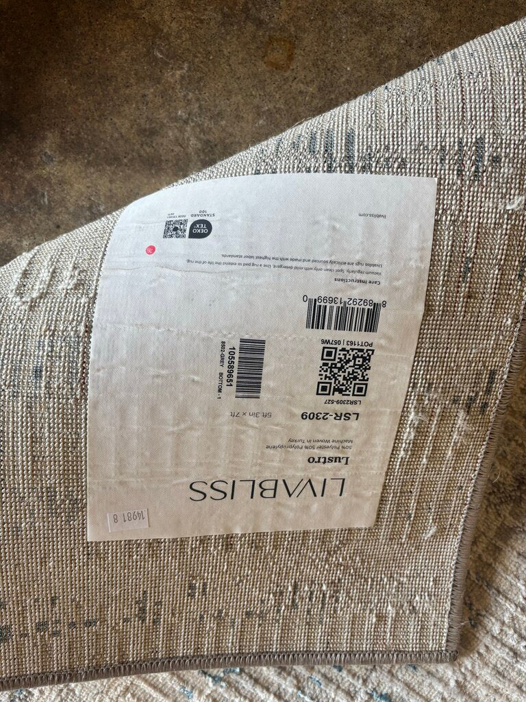 Lustro 5.3 X 7 Rug