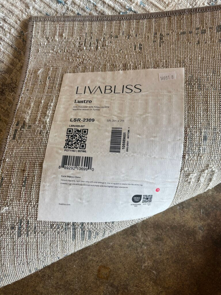 Lustro 5.3 X 7 Rug