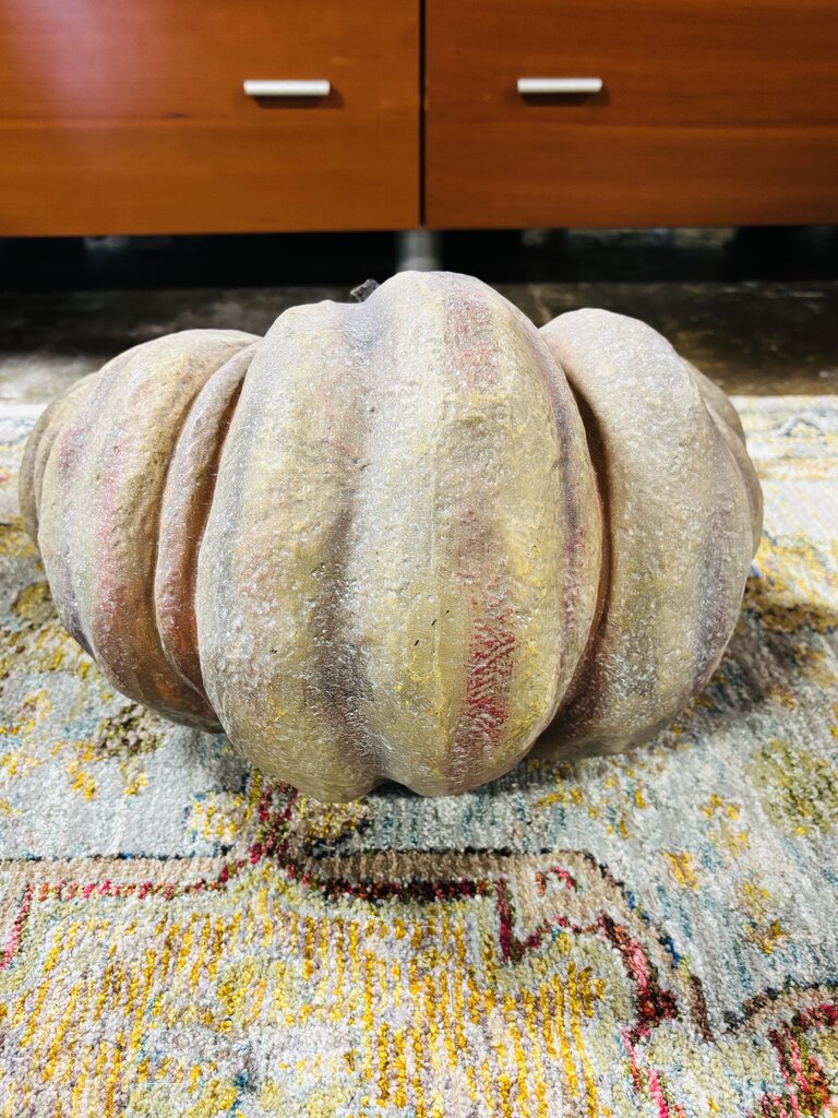 Large Gray Resting Pumpkin