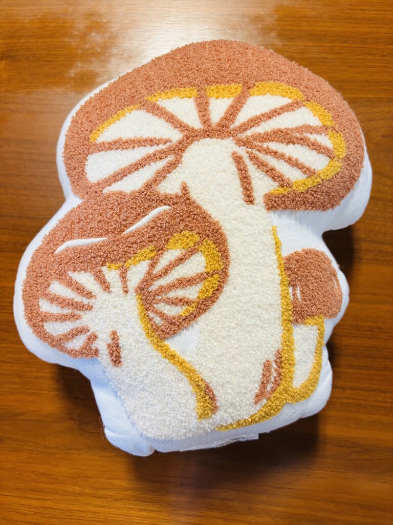 Mushroom Pillow