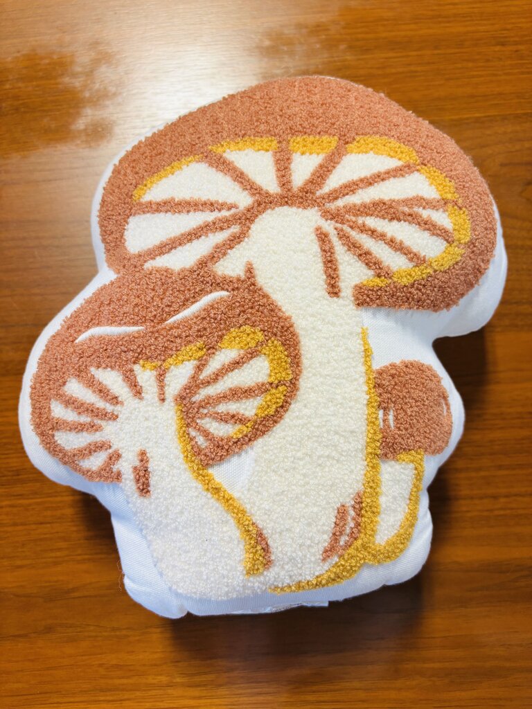 Mushroom Pillow