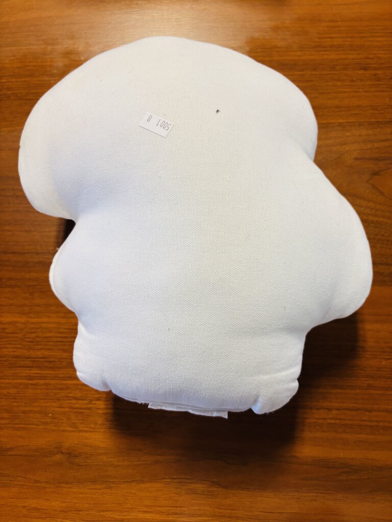 Mushroom Pillow