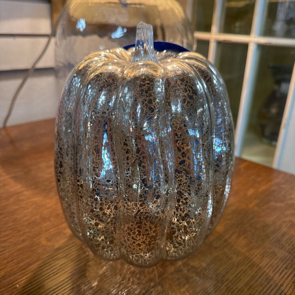 Silver Mercury Pumpkin Med
