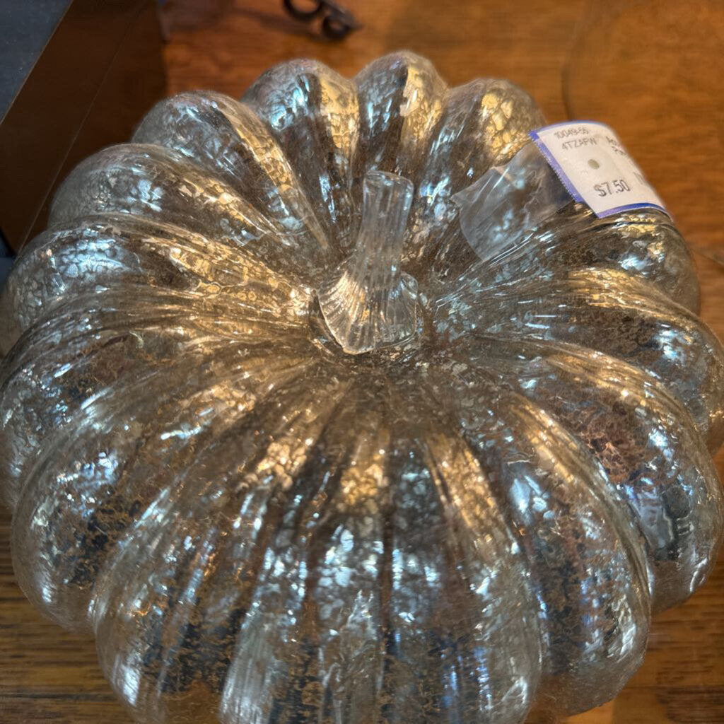 Silver Mercury Pumpkin Sml