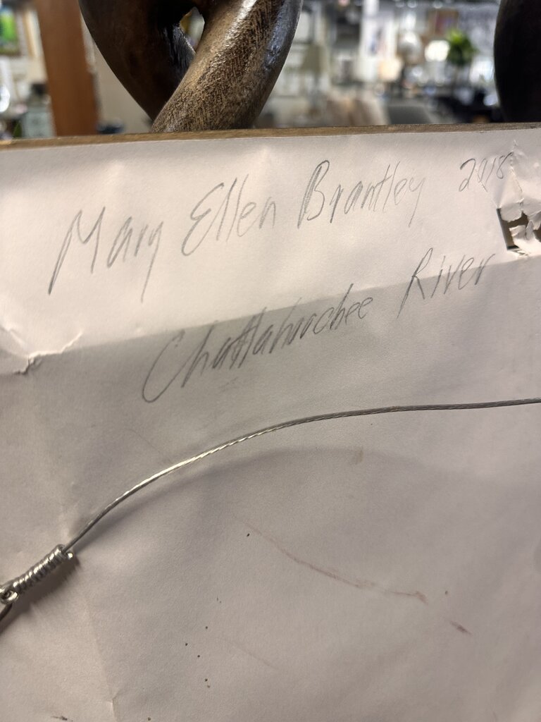 Mary Ellen Brantley Chattahoochee Artwork