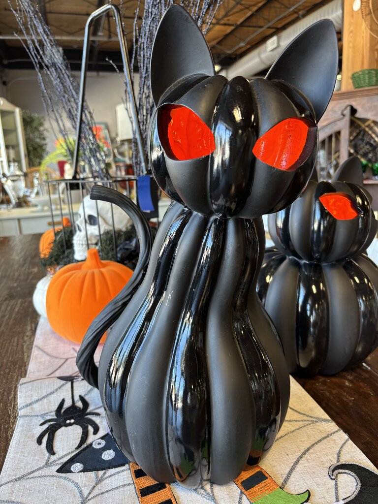 Pre Light Cat Pumpkin Medium