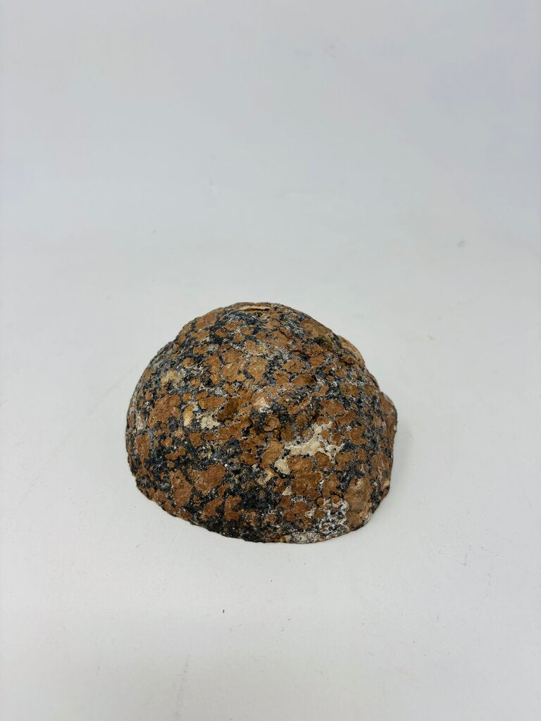 Agate Geode Nodule
