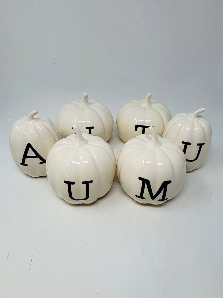 AUTUMN Pumpkins 6 PC