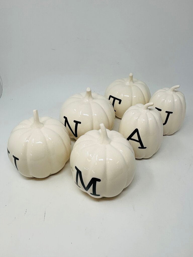 AUTUMN Pumpkins 6 PC
