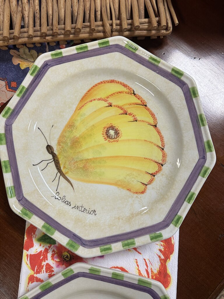 Set 4 Butterfly Plates